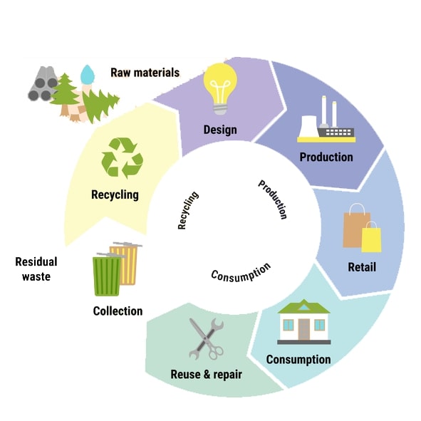 Circular economy and the life cycle of leather industry