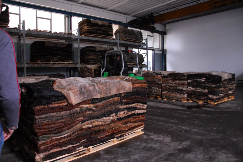 Eceplast liner cargo protector for container hides 1 scaled